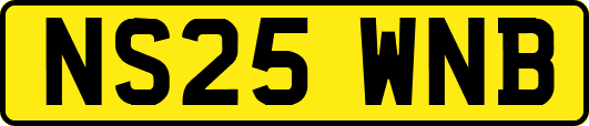 NS25WNB