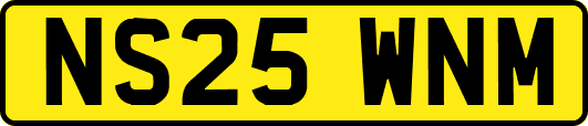 NS25WNM