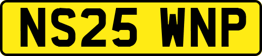 NS25WNP