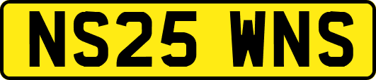 NS25WNS