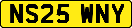 NS25WNY