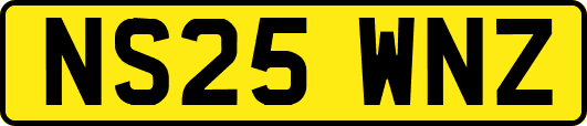 NS25WNZ