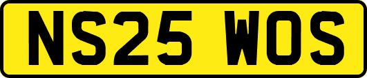 NS25WOS