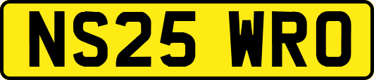 NS25WRO
