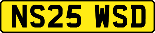 NS25WSD