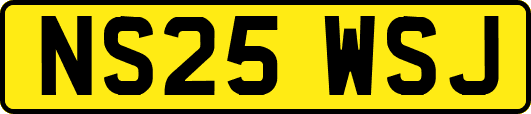 NS25WSJ