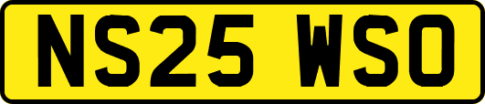 NS25WSO