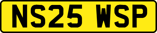 NS25WSP