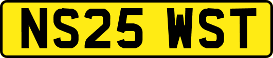 NS25WST