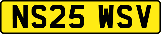 NS25WSV