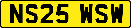 NS25WSW