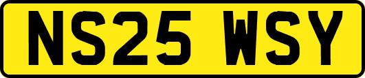 NS25WSY
