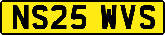 NS25WVS