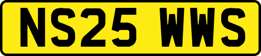 NS25WWS