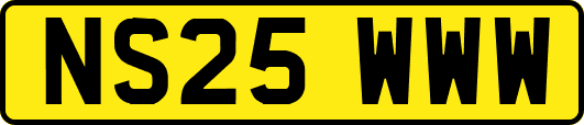 NS25WWW