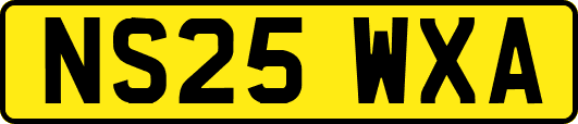 NS25WXA