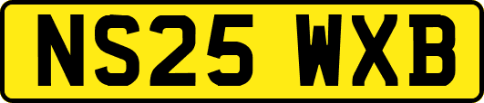 NS25WXB