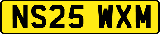 NS25WXM