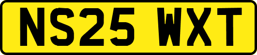 NS25WXT
