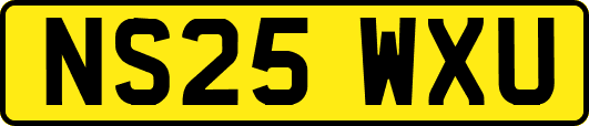 NS25WXU