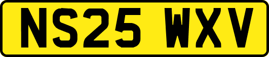 NS25WXV
