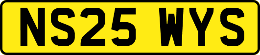 NS25WYS