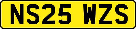 NS25WZS