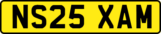 NS25XAM