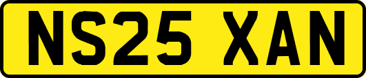 NS25XAN