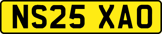 NS25XAO
