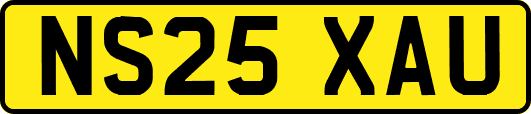 NS25XAU