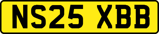 NS25XBB
