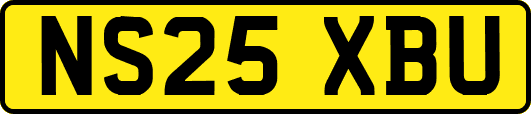 NS25XBU