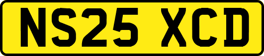 NS25XCD