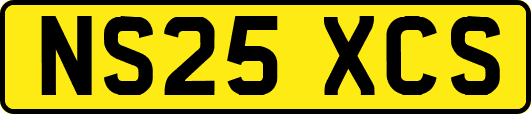NS25XCS