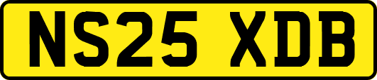 NS25XDB