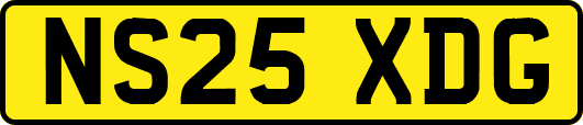 NS25XDG