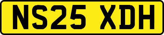 NS25XDH