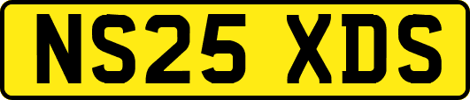 NS25XDS