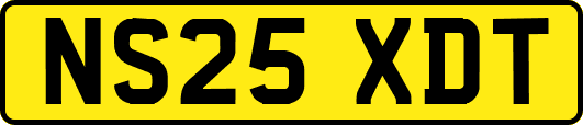 NS25XDT
