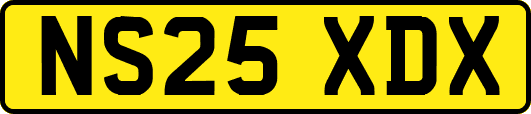 NS25XDX