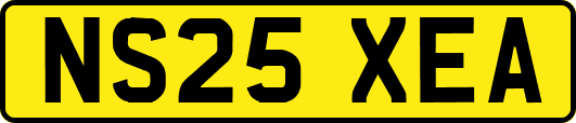 NS25XEA