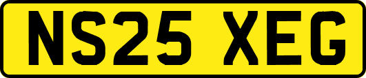 NS25XEG