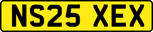 NS25XEX