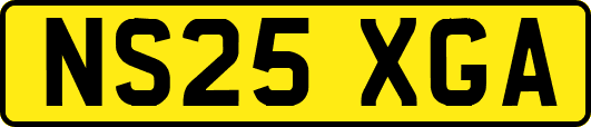 NS25XGA
