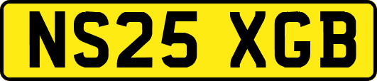 NS25XGB