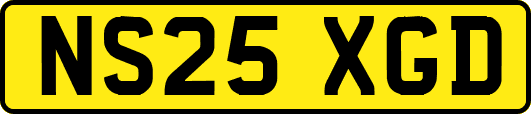 NS25XGD