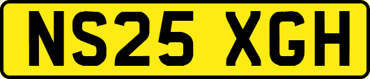NS25XGH