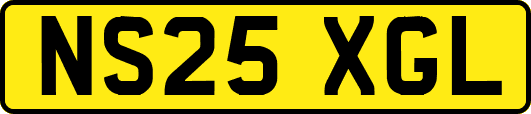 NS25XGL