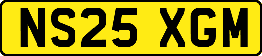 NS25XGM